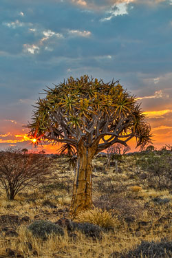 Namibia