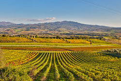 Tuscany