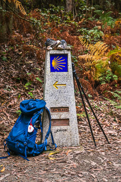 Camino de Santiago