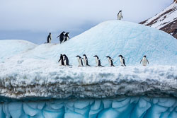 Antarctica