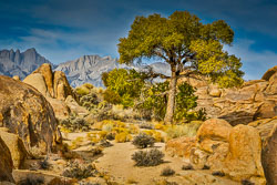 Alabama Hills
