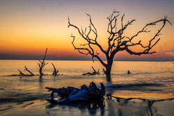 Jekyll Island