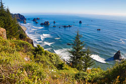 Oregon Coast