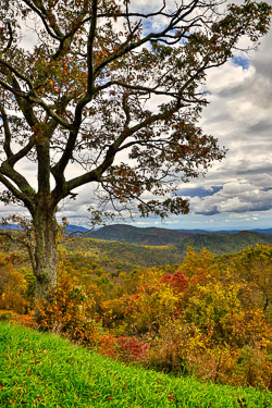 Shenandoah National Park