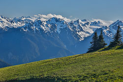 Olympic Peninsula
